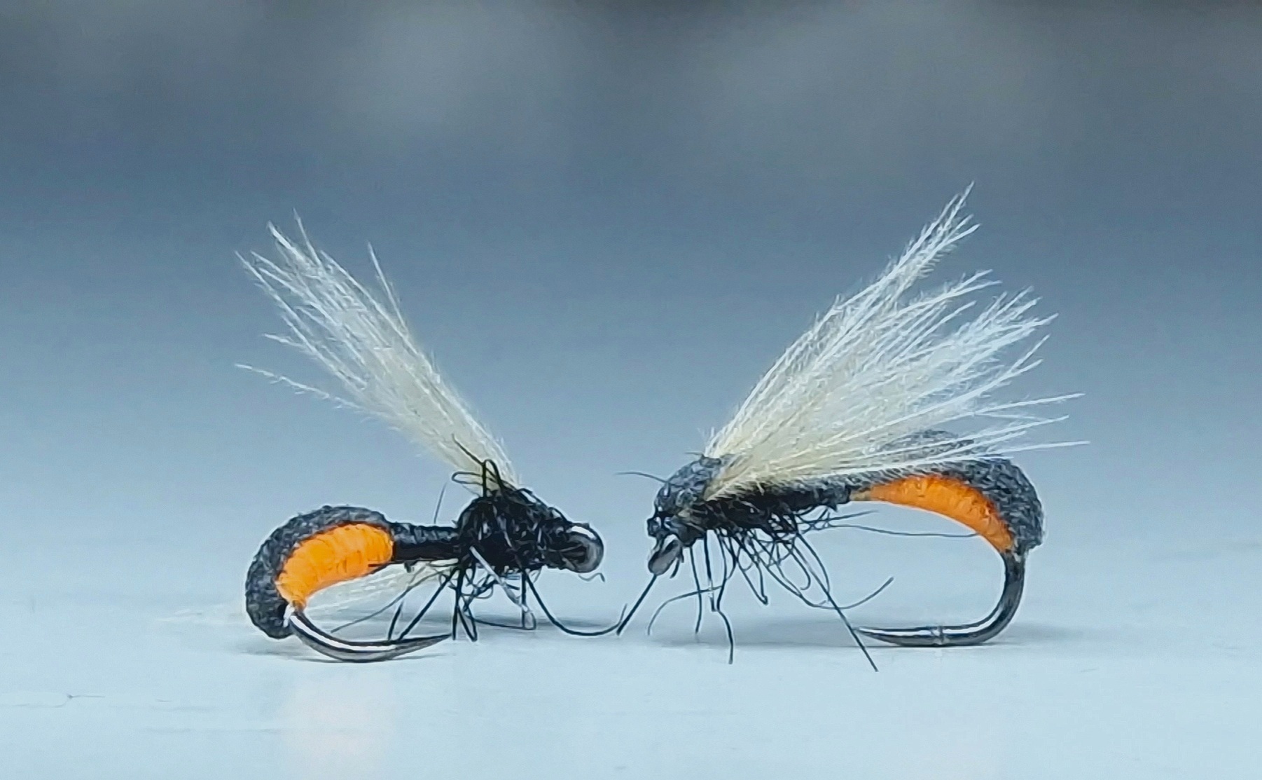 Pena Fliege1