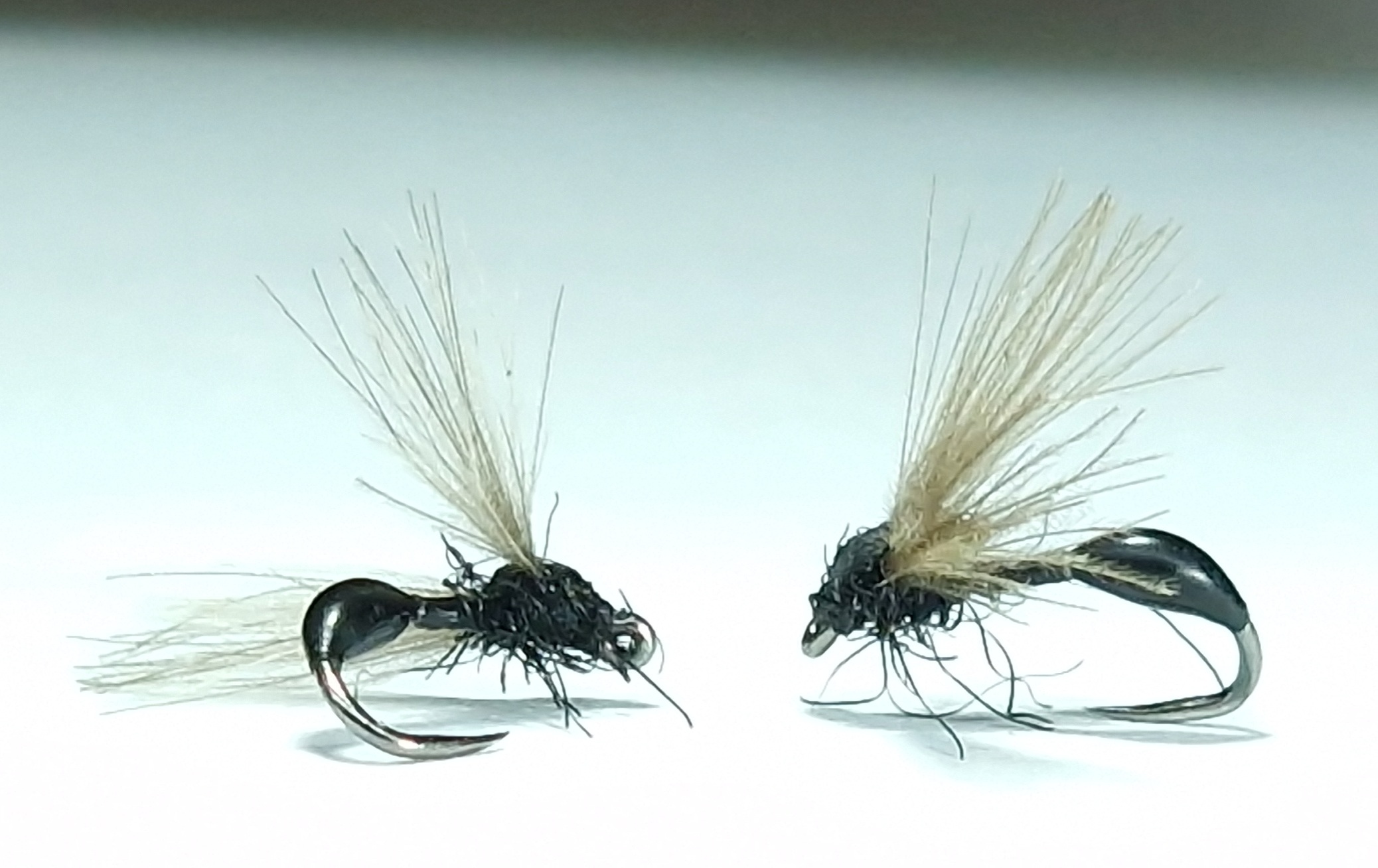 Pena Fliege3