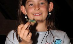 2024 IMG 4025 DPP